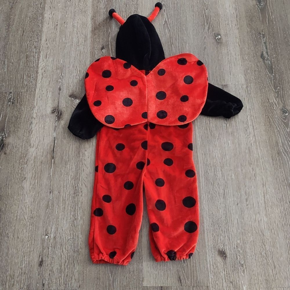 Red and Black Ladybug Costume for Kids - Picture 3 of 6
